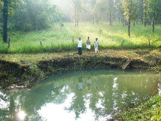 और अब हरियाली से भरपूर